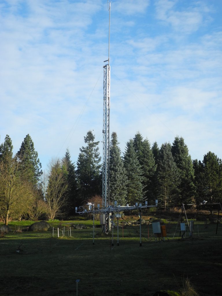 Daisies in December Global Change Ecology